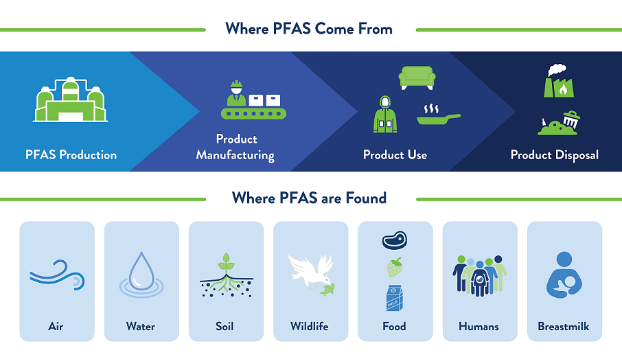 linear graphic showing where pfas come from and where they are found