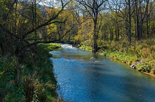 River in Minnesota flowing through a wooded area