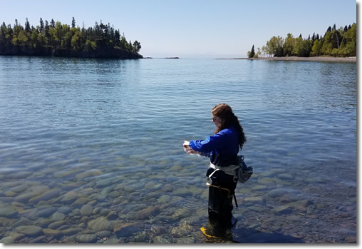 Beach Monitoring