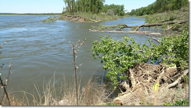 Missouri River