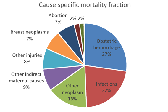 Figure 2: Mortality in women 12-49 years of age