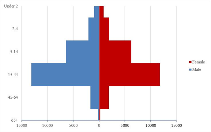 Age Distribution for Somali Refugees at Time of Resettlement to the United States, FY 2010–2016