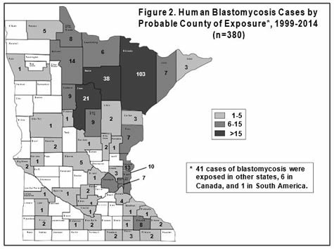 figure two shows map of minnesota with cases by county