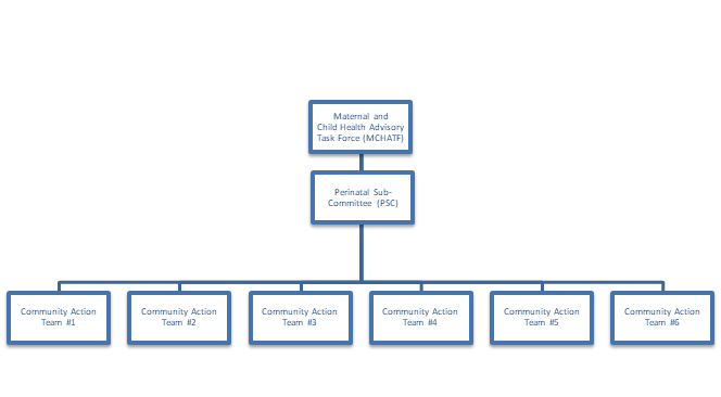 Perinatal Sub-Committee Structure